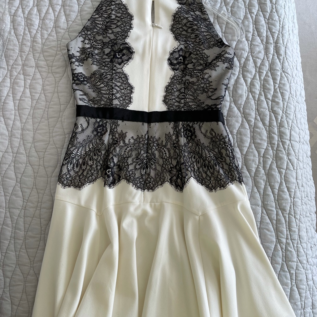 Beautiful Lace Overlay Flirty Dress